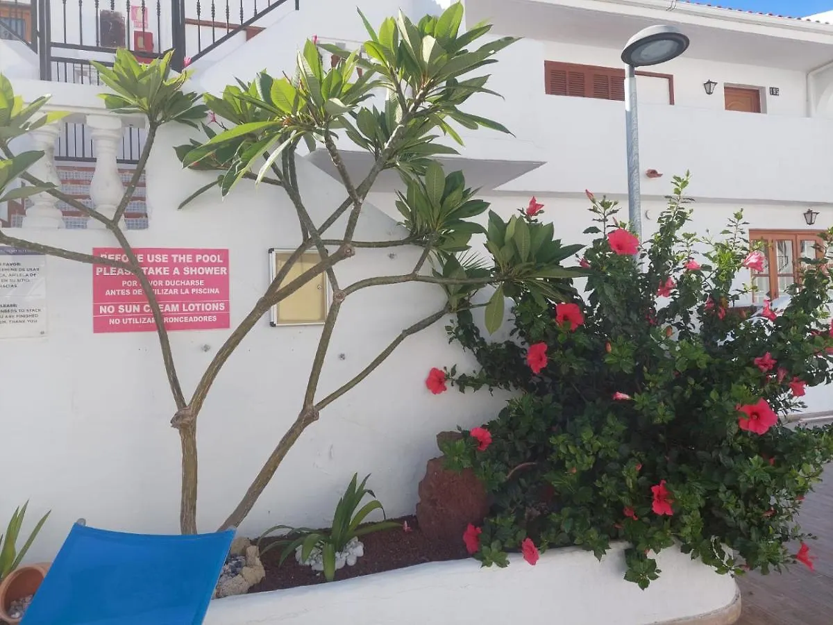 Appartamento Pool & View Christianos Los Cristianos  0*, Los Cristianos (Tenerife) Spagna